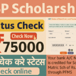 NSP Scholarship Status Check